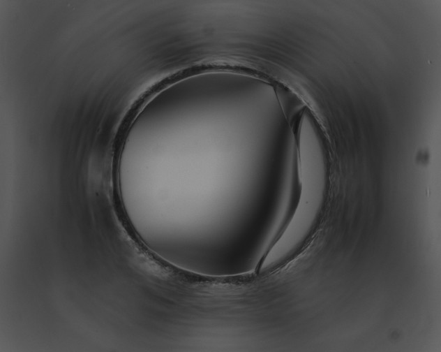 X0000091540984200708311328