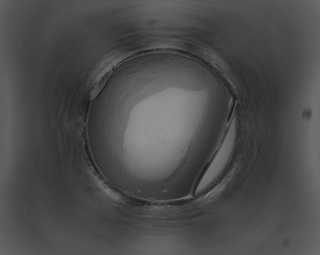 X0000091540985200708311328