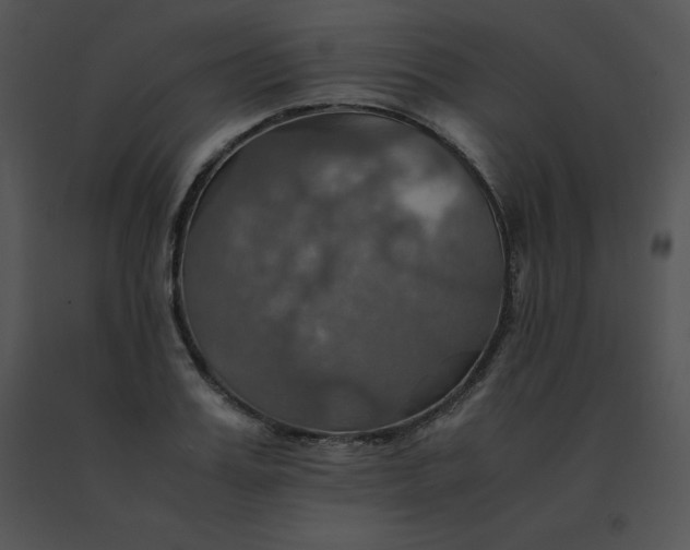 X0000091540987200708311328