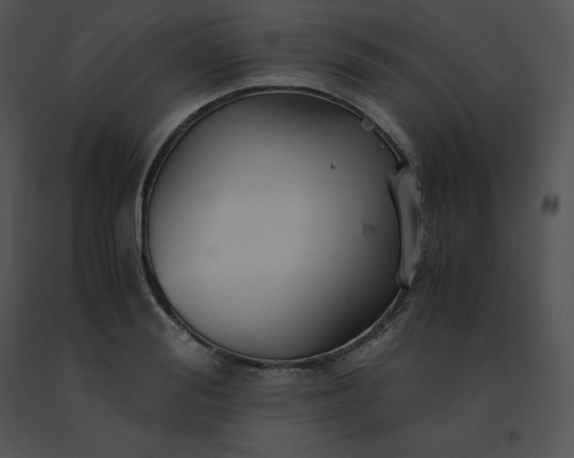 X0000091540988200708311328