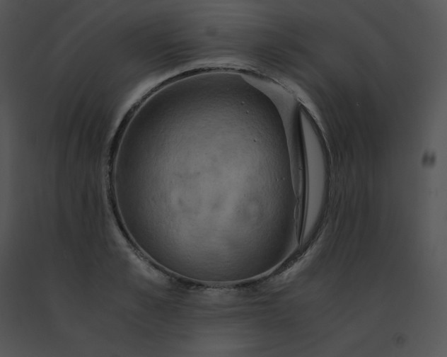X0000091540989200708311328