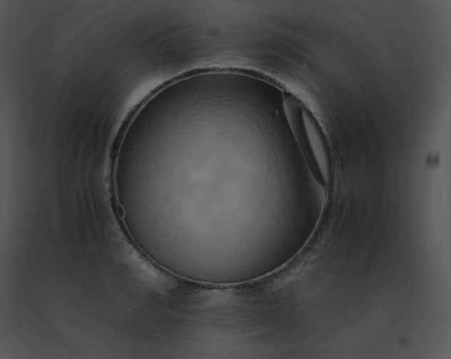 X0000091540990200708311328