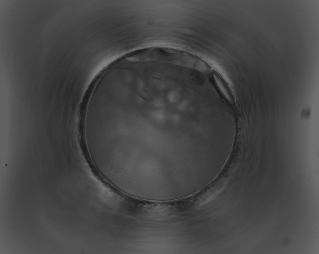 X0000091540991200708311328