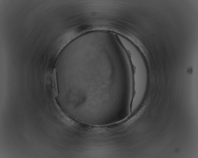 X0000091540993200708311328
