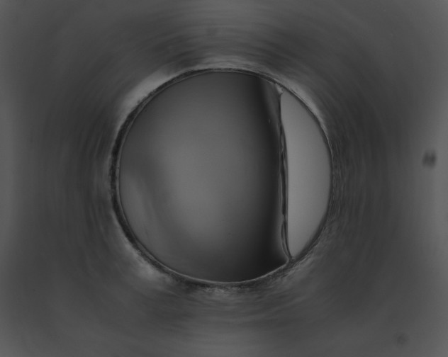 X0000091540995200708311328