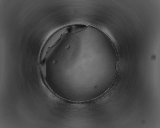 X0000091540996200708311328