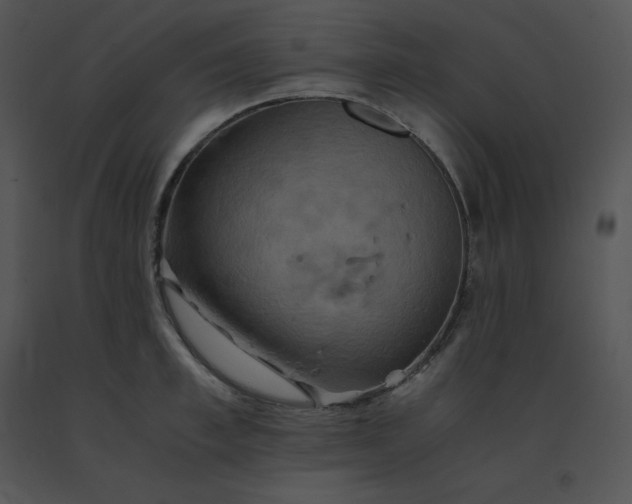 X0000091540997200708311328