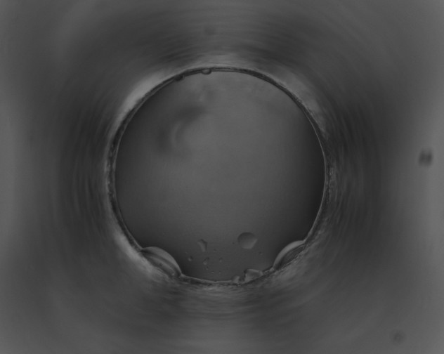 X0000091540998200708311328
