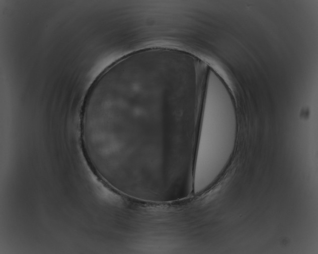 X0000091540999200708311328
