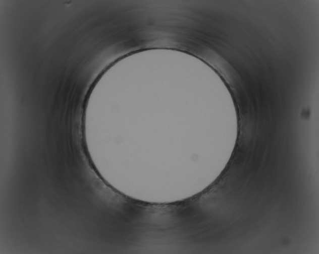 X0000091541000200708311328
