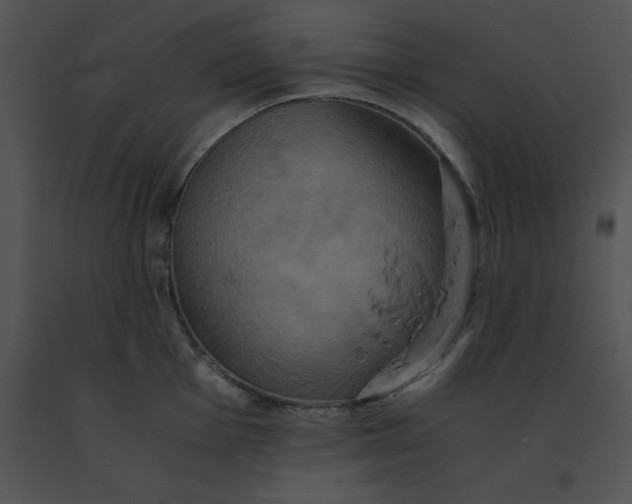 X0000091541001200708311328