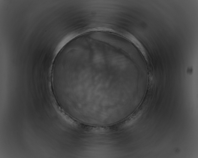 X0000091541002200708311328