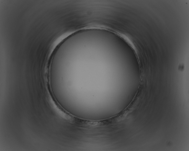 X0000091541003200708311328