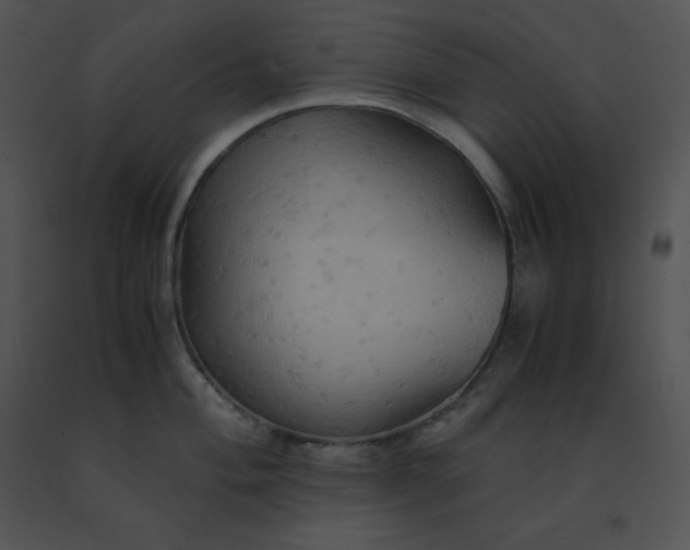 X0000091541004200708311328