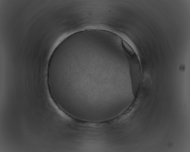 X0000091541005200708311328