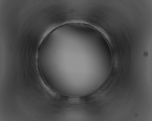 X0000091541006200708311328