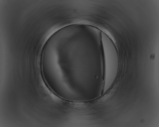 X0000091541007200708311328