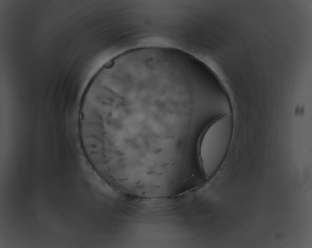 X0000091541008200708311328