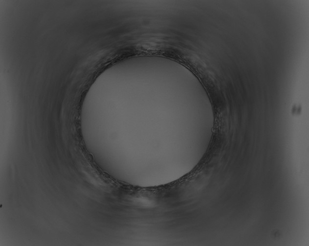 X0000091541009200708311327