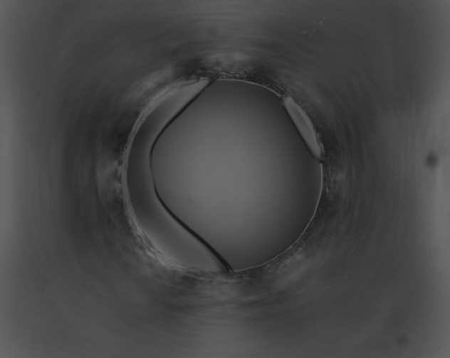 X0000091541010200708311327