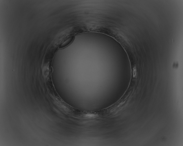 X0000091541011200708311327