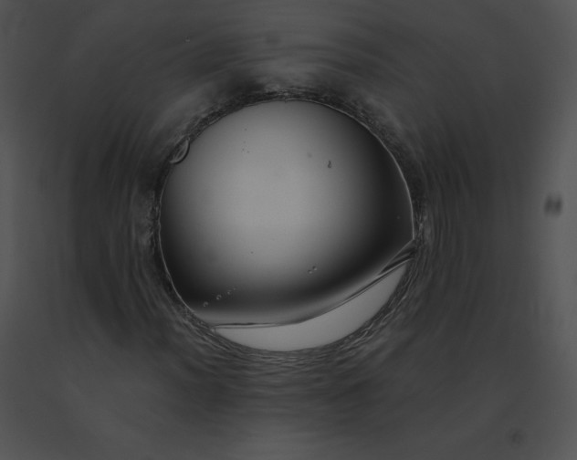 X0000091541012200708311327
