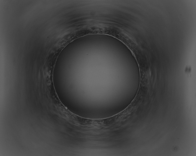 X0000091541013200708311327
