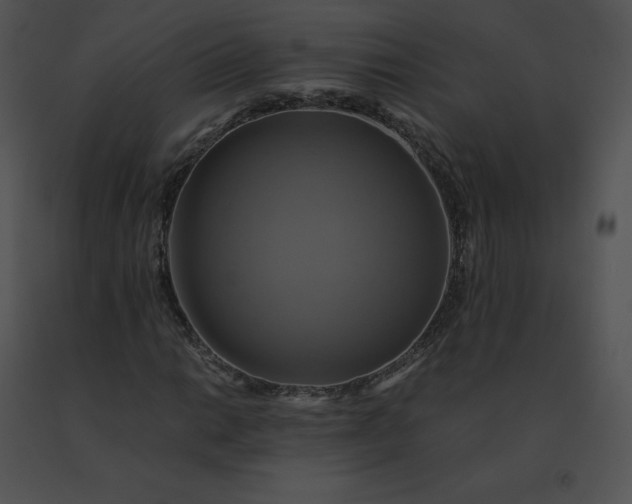 X0000091541014200708311327