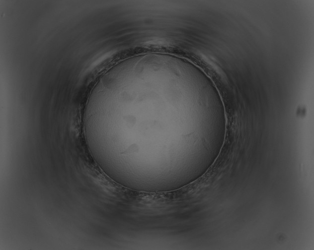 X0000091541015200708311327