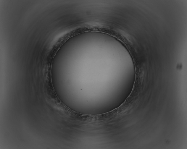 X0000091541016200708311327
