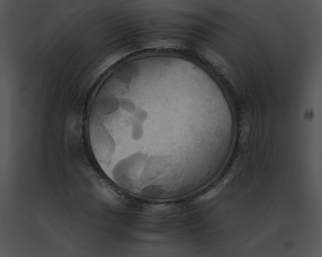 X0000091541017200708311327