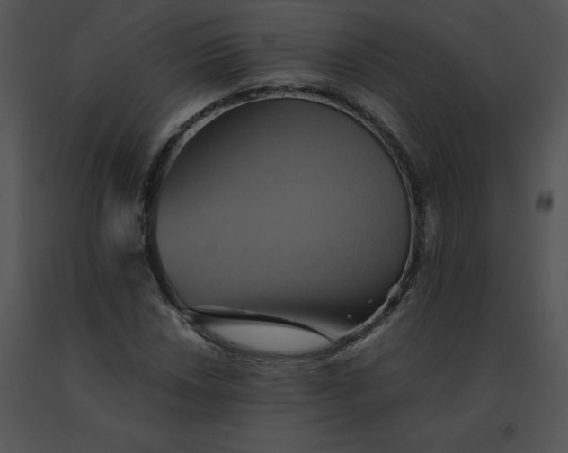 X0000091541018200708311327