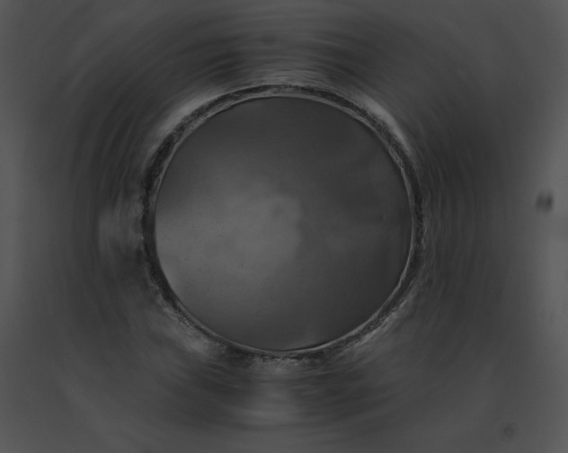 X0000091541019200708311327