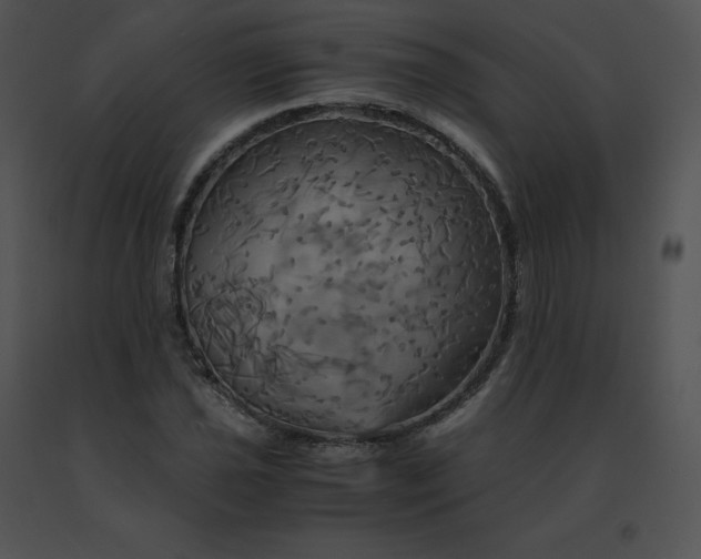 X0000091541021200708311327