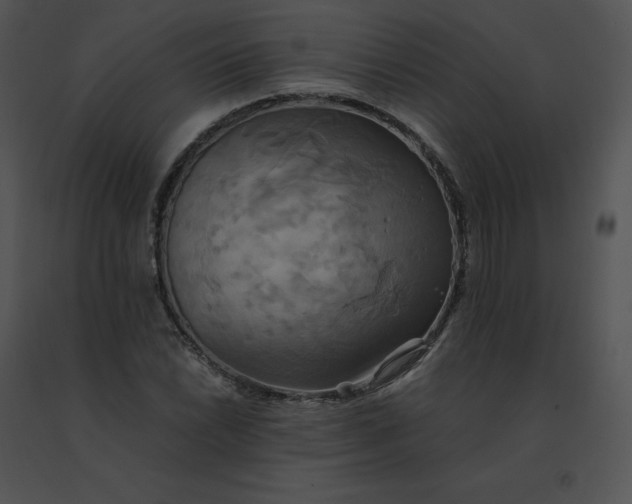 X0000091541022200708311327