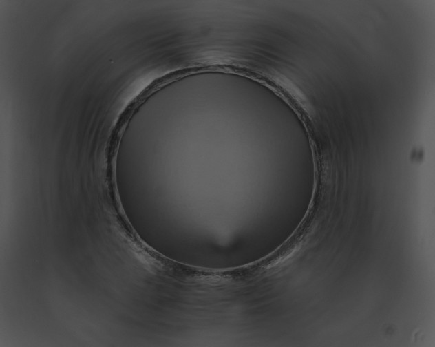 X0000091541023200708311327