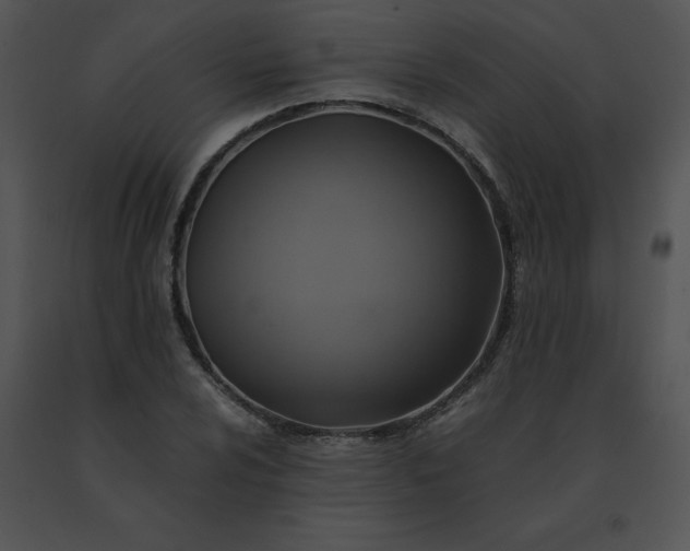 X0000091541024200708311327