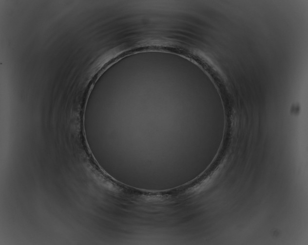 X0000091541025200708311327