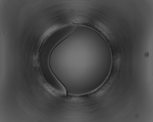X0000091541026200708311327