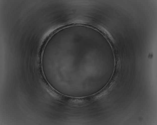 X0000091541027200708311327