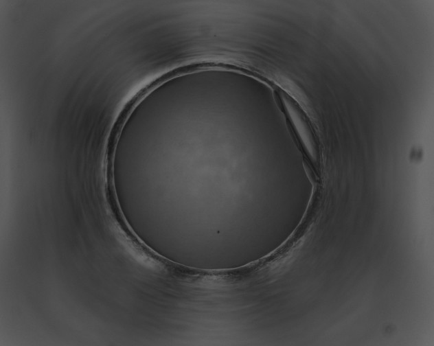 X0000091541028200708311327