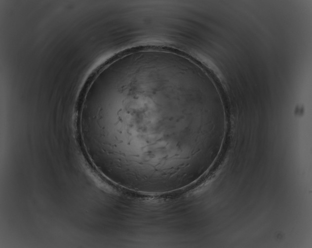 X0000091541029200708311327