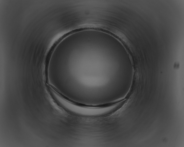 X0000091541030200708311327