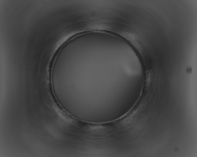 X0000091541031200708311327