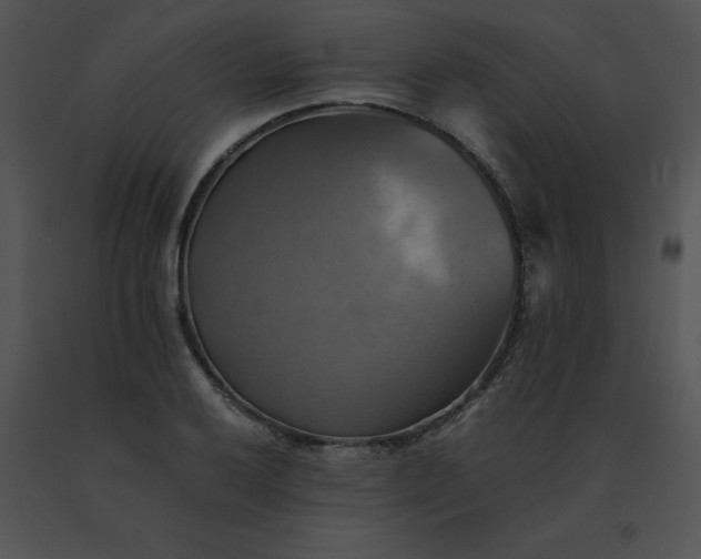 X0000091541032200708311327