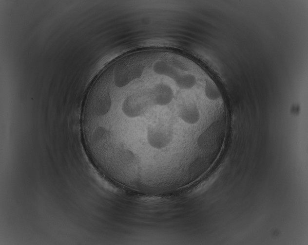 X0000091541033200708311327