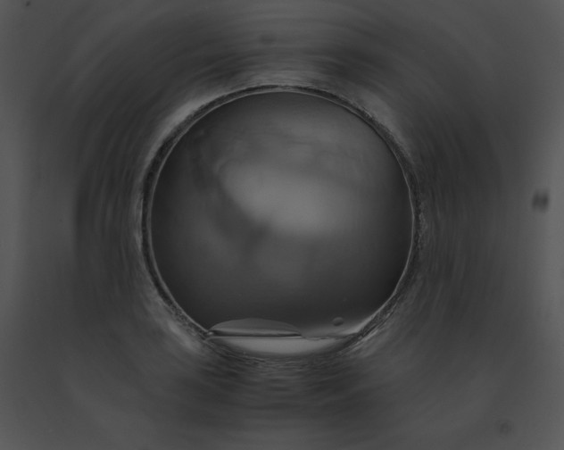 X0000091541035200708311327