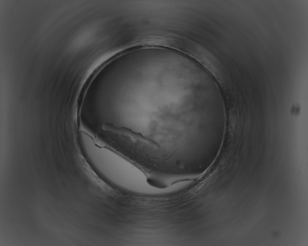 X0000091541036200708311327