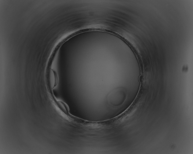 X0000091541037200708311327