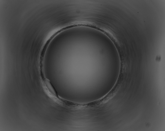 X0000091541038200708311327
